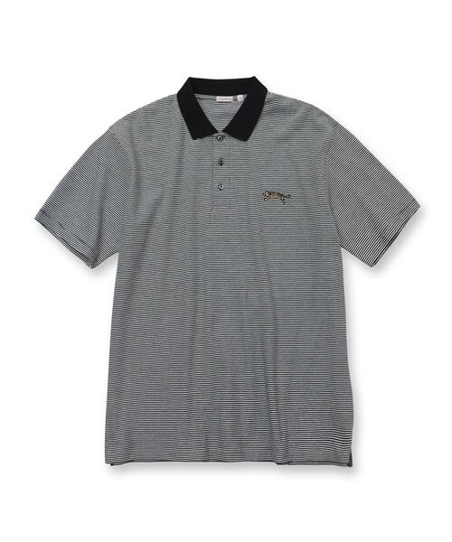 DRESSTERIOR / ドレステリア ポロシャツ | ドレステリア タイガーボーダーポロシャツ | 詳細1
