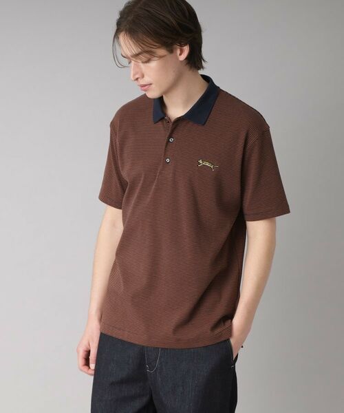 DRESSTERIOR / ドレステリア ポロシャツ | ドレステリア タイガーボーダーポロシャツ | 詳細11