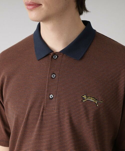 DRESSTERIOR / ドレステリア ポロシャツ | ドレステリア タイガーボーダーポロシャツ | 詳細12