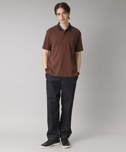 DRESSTERIOR / ドレステリア ポロシャツ | ドレステリア タイガーボーダーポロシャツ | 詳細16