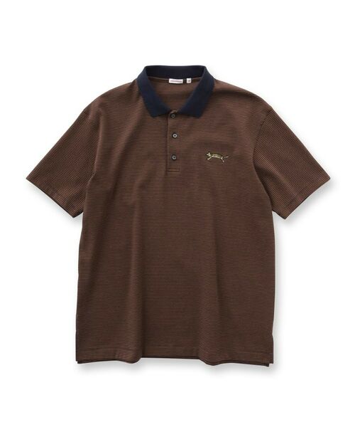 DRESSTERIOR / ドレステリア ポロシャツ | ドレステリア タイガーボーダーポロシャツ | 詳細2