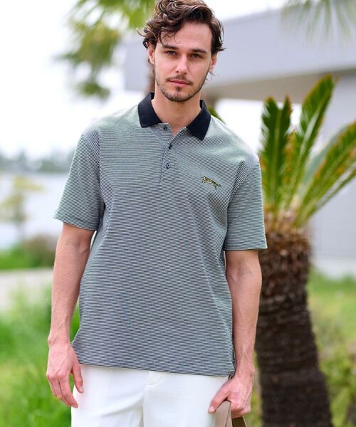 DRESSTERIOR / ドレステリア ポロシャツ | ドレステリア タイガーボーダーポロシャツ | 詳細5