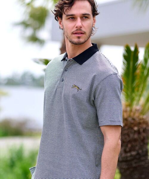 DRESSTERIOR / ドレステリア ポロシャツ | ドレステリア タイガーボーダーポロシャツ | 詳細6