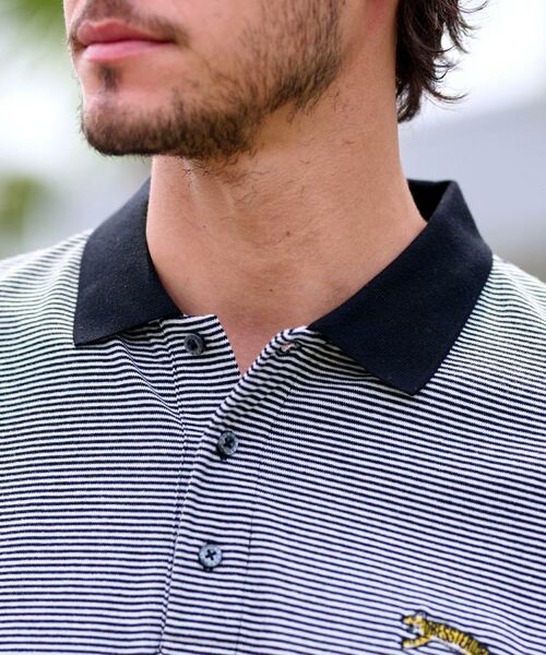 DRESSTERIOR / ドレステリア ポロシャツ | ドレステリア タイガーボーダーポロシャツ | 詳細8