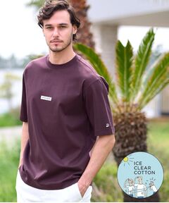 DRESSTERIOR / ドレステリア Tシャツ | 【接触冷感／抗菌防臭／消臭】ICE CLEAR COTTON NINEストリートTシャツ