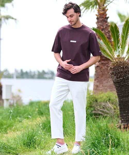 DRESSTERIOR / ドレステリア Tシャツ | 【接触冷感/抗菌防臭/消臭】ICE CLEAR COTTON NINEストリートTシャツ | 詳細10