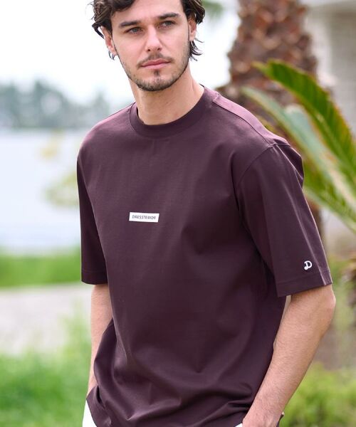 DRESSTERIOR / ドレステリア Tシャツ | 【接触冷感/抗菌防臭/消臭】ICE CLEAR COTTON NINEストリートTシャツ | 詳細12