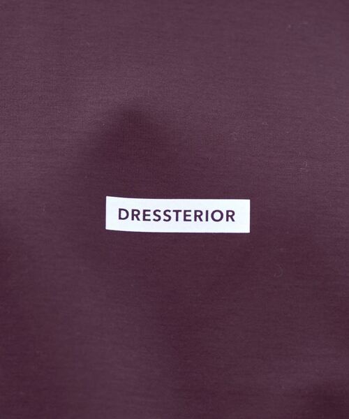 DRESSTERIOR / ドレステリア Tシャツ | 【接触冷感/抗菌防臭/消臭】ICE CLEAR COTTON NINEストリートTシャツ | 詳細16