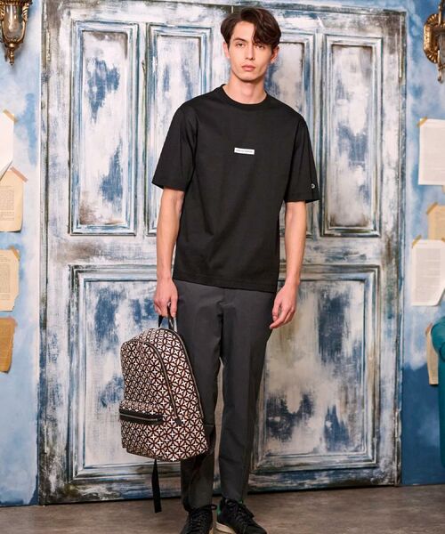 DRESSTERIOR / ドレステリア Tシャツ | 【接触冷感/抗菌防臭/消臭】ICE CLEAR COTTON NINEストリートTシャツ | 詳細17