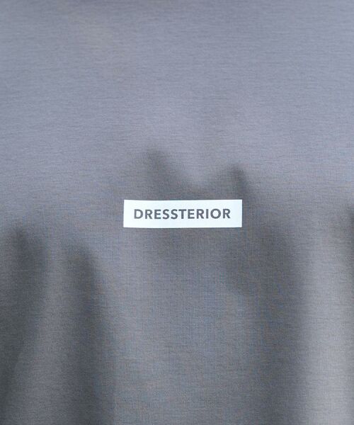 DRESSTERIOR / ドレステリア Tシャツ | 【接触冷感/抗菌防臭/消臭】ICE CLEAR COTTON NINEストリートTシャツ | 詳細7