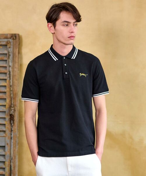 DRESSTERIOR / ドレステリア ポロシャツ | ドレステリア タイガーポロシャツ | 詳細11