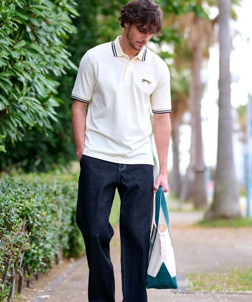 DRESSTERIOR / ドレステリア ポロシャツ | ドレステリア タイガーポロシャツ | 詳細18