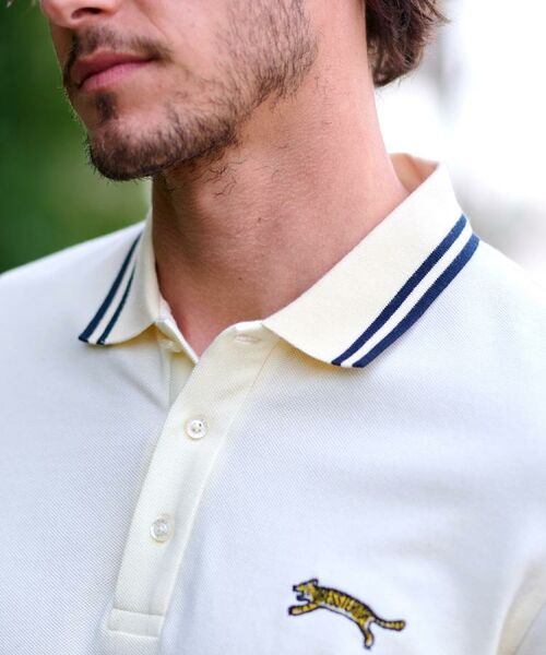 DRESSTERIOR / ドレステリア ポロシャツ | ドレステリア タイガーポロシャツ | 詳細20