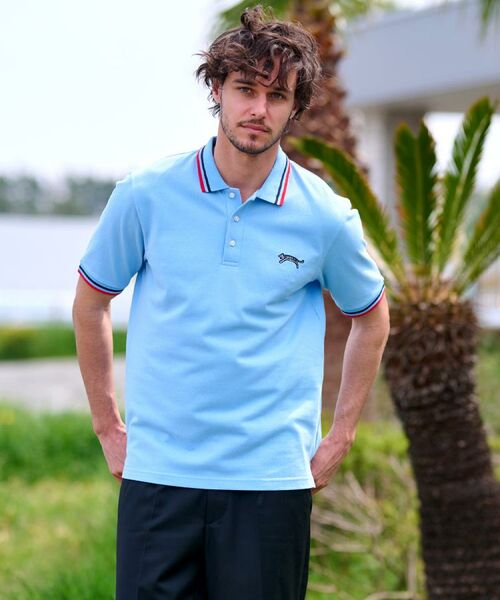 DRESSTERIOR / ドレステリア ポロシャツ | ドレステリア タイガーポロシャツ | 詳細23