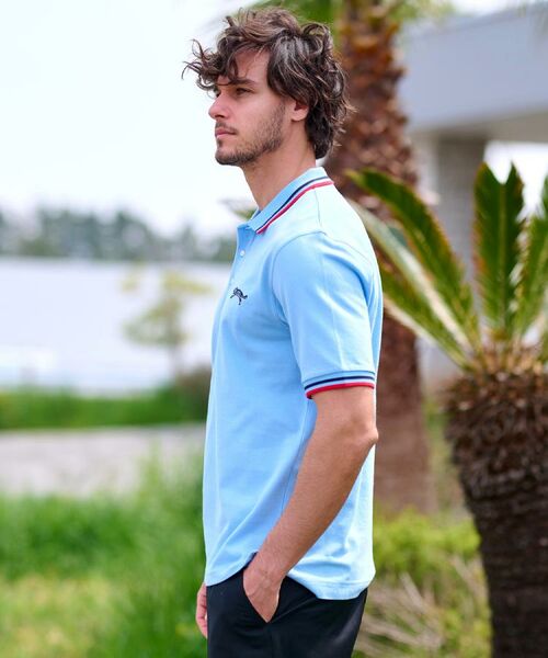 DRESSTERIOR / ドレステリア ポロシャツ | ドレステリア タイガーポロシャツ | 詳細24