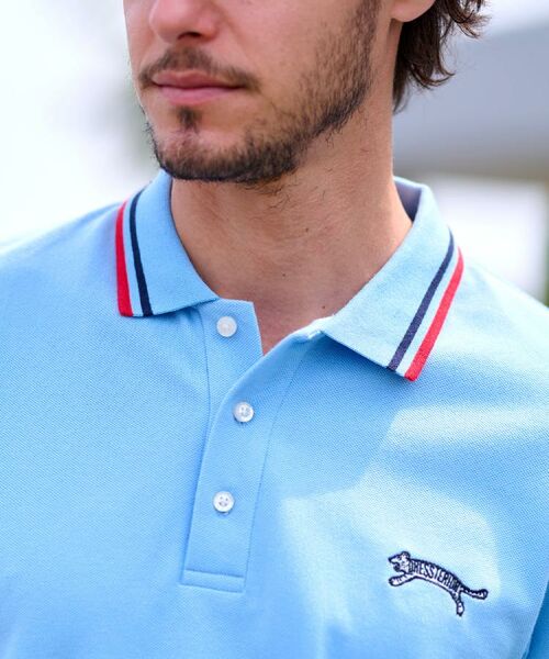 DRESSTERIOR / ドレステリア ポロシャツ | ドレステリア タイガーポロシャツ | 詳細25