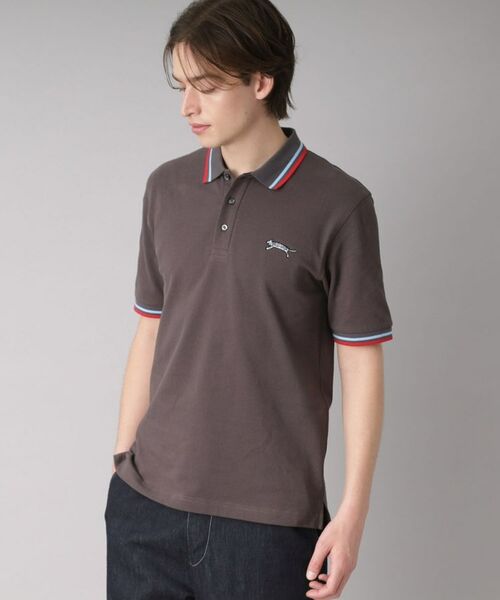 DRESSTERIOR / ドレステリア ポロシャツ | ドレステリア タイガーポロシャツ | 詳細29