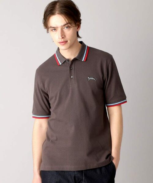 DRESSTERIOR/ドレステリア ドレステリア タイガーポロシャツ グレー(012) 91(M) DRESSTERIOR/ドレステリア ドレステリア タイガーポロシャツ グレー(012) 91(M)