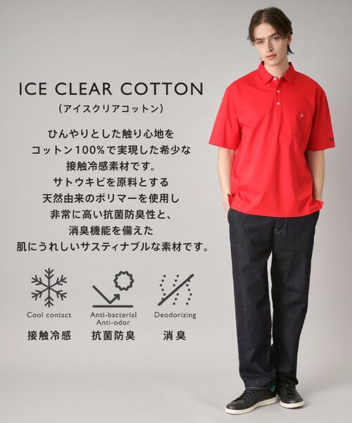 DRESSTERIOR / ドレステリア ポロシャツ | 【接触冷感/抗菌防臭/消臭】ICE CLEAR COTTON オーバーフィットポロシャツ | 詳細1