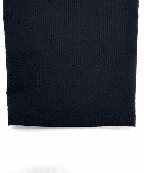 DRESSTERIOR / ドレステリア パンツ | 【洗える/セットアップ可/吸湿速乾/Safari5月号掲載】COOL MAX シアサッカーパンツ | 詳細8