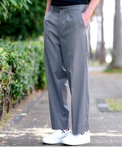 DRESSTERIOR / ドレステリア パンツ | ウールブレンド イージーワイドパンツ