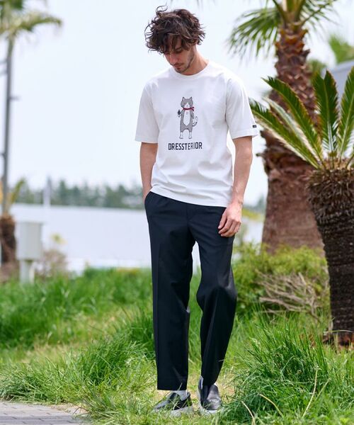 DRESSTERIOR / ドレステリア パンツ | ウールブレンド イージーワイドパンツ | 詳細19