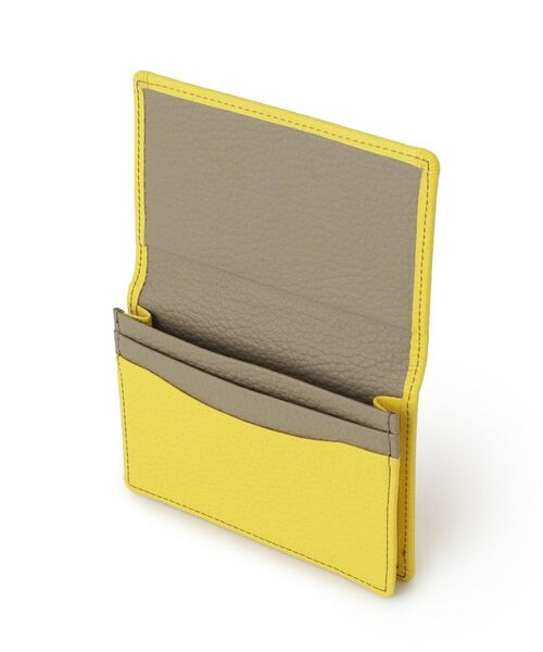 DRESSTERIOR / ドレステリア カードケース・名刺入れ・定期入れ | ビジネスカードホルダー | 詳細6