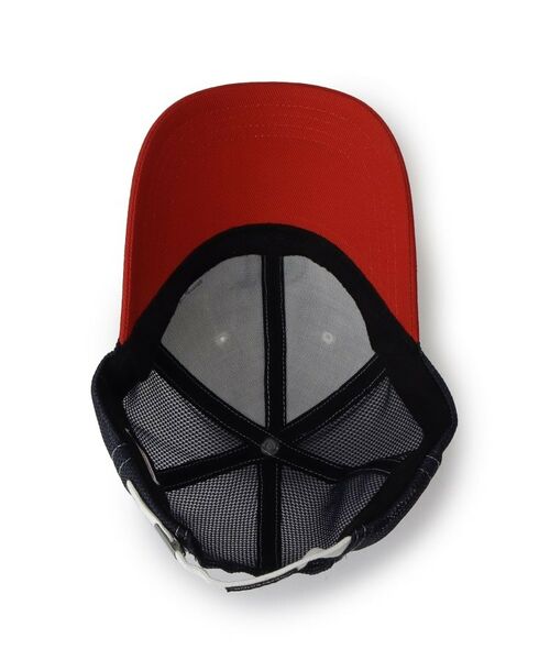 DRESSTERIOR / ドレステリア キャップ | Dロゴキャップ | 詳細7