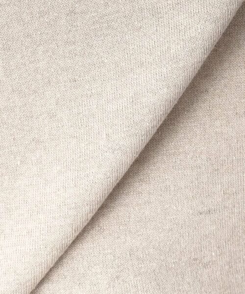 DRESSTERIOR / ドレステリア カットソー | 【毎年人気！／洗える】リネン裏毛フレンチプルオーバー | 詳細18