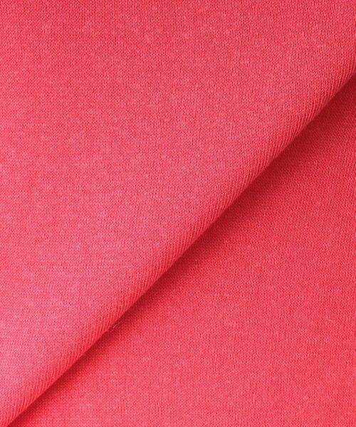 DRESSTERIOR / ドレステリア カットソー | 【毎年人気！／洗える】リネン裏毛ハーフスリーブプルオーバー | 詳細16