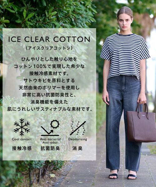 DRESSTERIOR / ドレステリア Tシャツ | 【接触冷感/抗菌防臭/消臭】アイスクリアコットンドルマンボーダーT | 詳細1