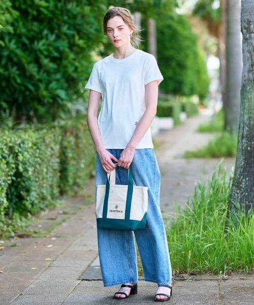 DRESSTERIOR / ドレステリア Tシャツ | 【洗える】シルクブレンドポンチTシャツ | 詳細1