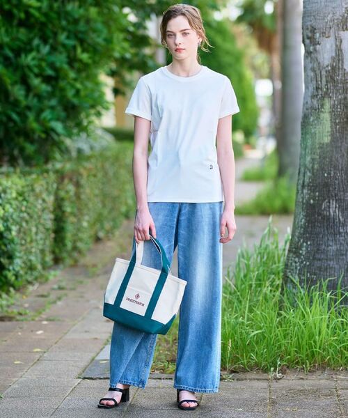 DRESSTERIOR / ドレステリア Tシャツ | 【洗える】シルクブレンドポンチTシャツ | 詳細2