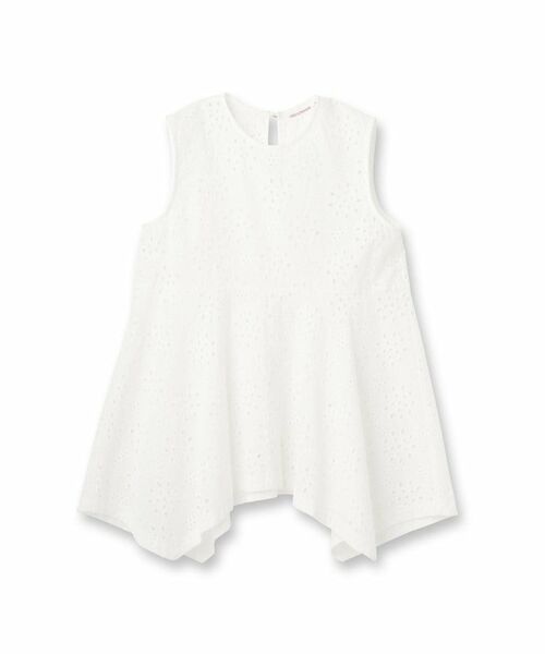 DRESSTERIOR / ドレステリア シャツ・ブラウス | 【コットン100％/洗える】カットワークレースブラウス | 詳細1