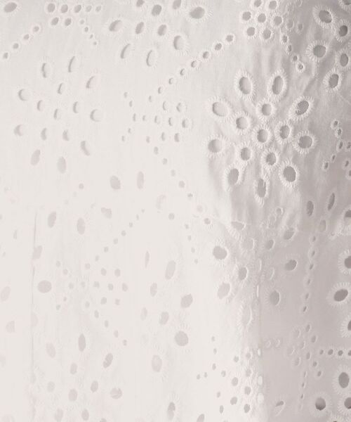 DRESSTERIOR / ドレステリア シャツ・ブラウス | 【コットン100％/洗える】カットワークレースブラウス | 詳細13