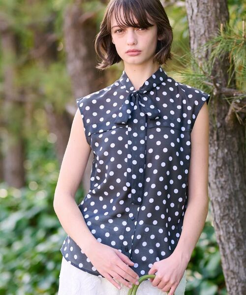 DRESSTERIOR/ドレステリア 【透け感/ドット柄】シアードットプリントボウタイブラウス ブラック(119) 38(M) DRESSTERIOR/ドレステリア 【透け感/ドット柄】シアードットプリントボウタイブラウス ブラック(119) 38(M)