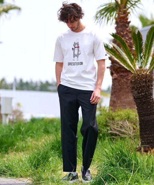 DRESSTERIOR / ドレステリア Tシャツ | 【接触冷感／抗菌防臭／消臭】ICE CLEAR COTTON キャットTシャツ | 詳細1