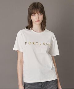 DRESSTERIOR / ドレステリア Tシャツ | 20／1シルケット風天竺Tシャツ