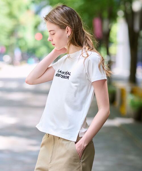 DRESSTERIOR / ドレステリア Tシャツ | クリア天竺ロゴTシャツ | 詳細5