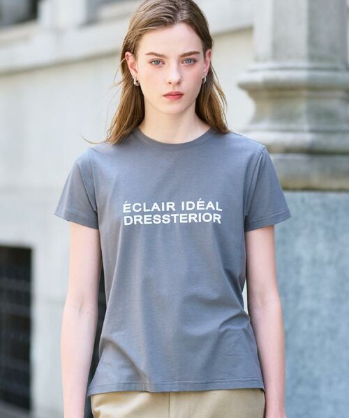 DRESSTERIOR / ドレステリア Tシャツ | クリア天竺ロゴTシャツ(チャコールグレー(014))
