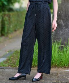 DRESSTERIOR / ドレステリア （レディース） パンツ