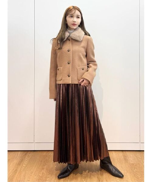 DRESSTERIOR / ドレステリア ロング・マキシ丈スカート | 【洗える/ストレッチ性/オンオフ】箔プリントプリーツスカート | 詳細24