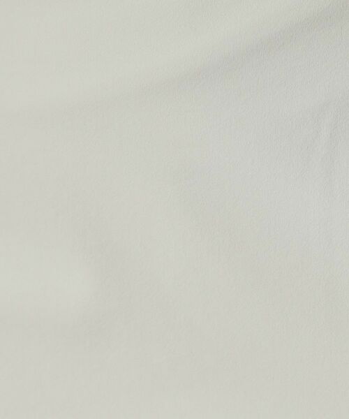 DRESSTERIOR / ドレステリア ロング・マキシ丈スカート | 【洗える/ポケット付き】ストレッチナロースカート | 詳細12