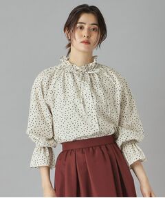 DRESSTERIOR / ドレステリア （レディース） シャツ・ブラウス
