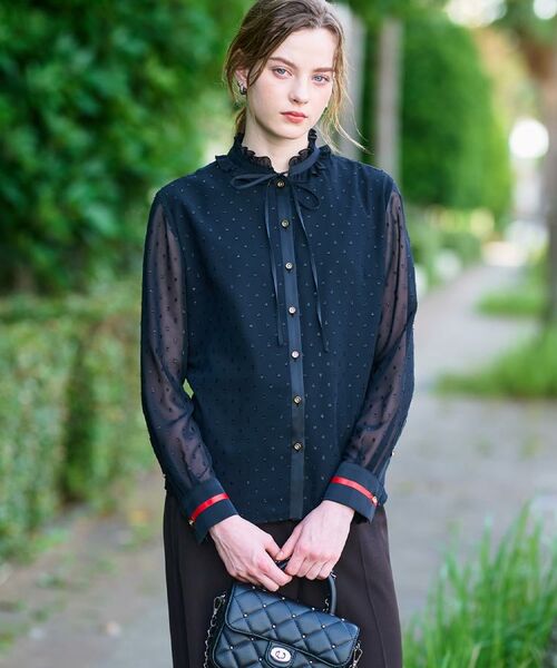 DRESSTERIOR / ドレステリア シャツ・ブラウス | 【洗える/シアー素材/otonaMUSE 11月号掲載】フィルムドットブラウス | 詳細12