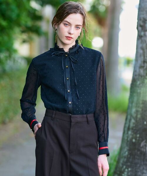 DRESSTERIOR / ドレステリア シャツ・ブラウス | 【洗える/シアー素材/otonaMUSE 11月号掲載】フィルムドットブラウス | 詳細15