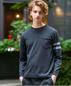 DRESSTERIOR / ドレステリア ニット・セーター | ウォッシャブルファインメリノ クルーネックニット