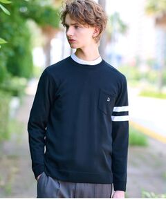 DRESSTERIOR / ドレステリア ニット・セーター | ウォッシャブルファインメリノ クルーネックニット