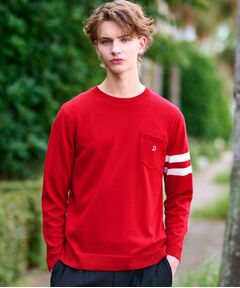 DRESSTERIOR / ドレステリア ニット・セーター | ウォッシャブルファインメリノ クルーネックニット