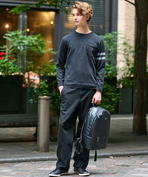 DRESSTERIOR / ドレステリア ニット・セーター | ウォッシャブルファインメリノ クルーネックニット | 詳細1